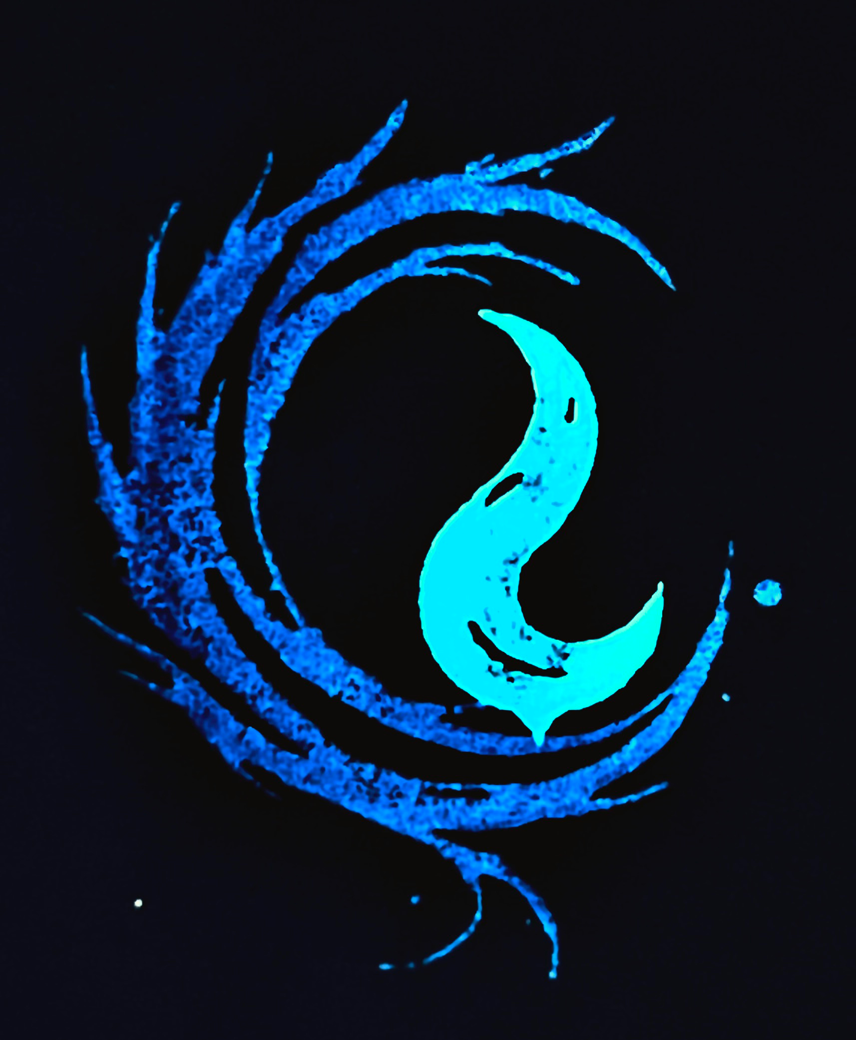 Logo Lazareüs